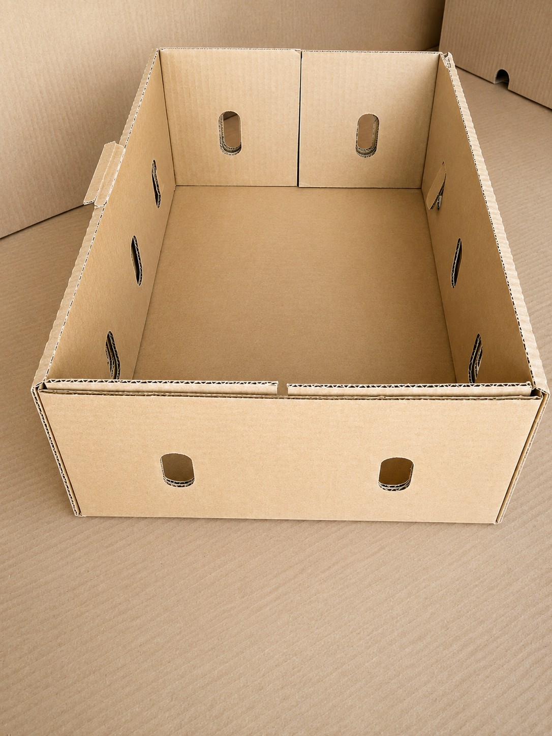 Die-Cut Horticulture Boxes gallery view 1