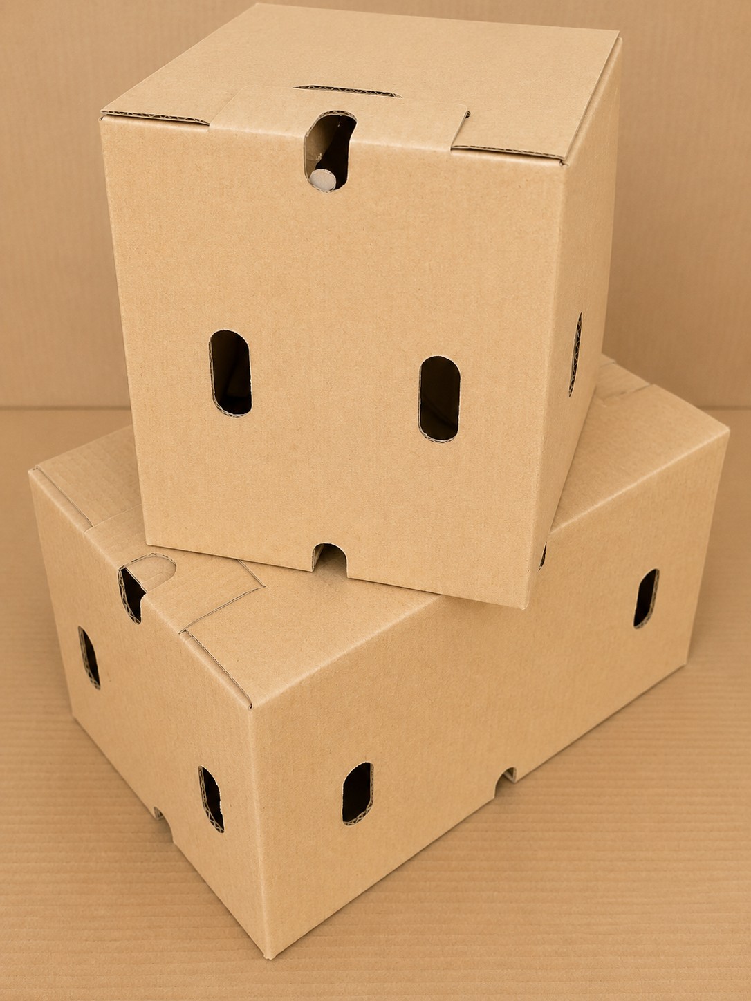 Die-Cut Horticulture Boxes gallery view 3